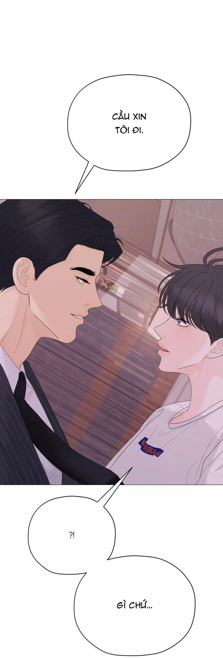 Honey Bear 36 trang 1