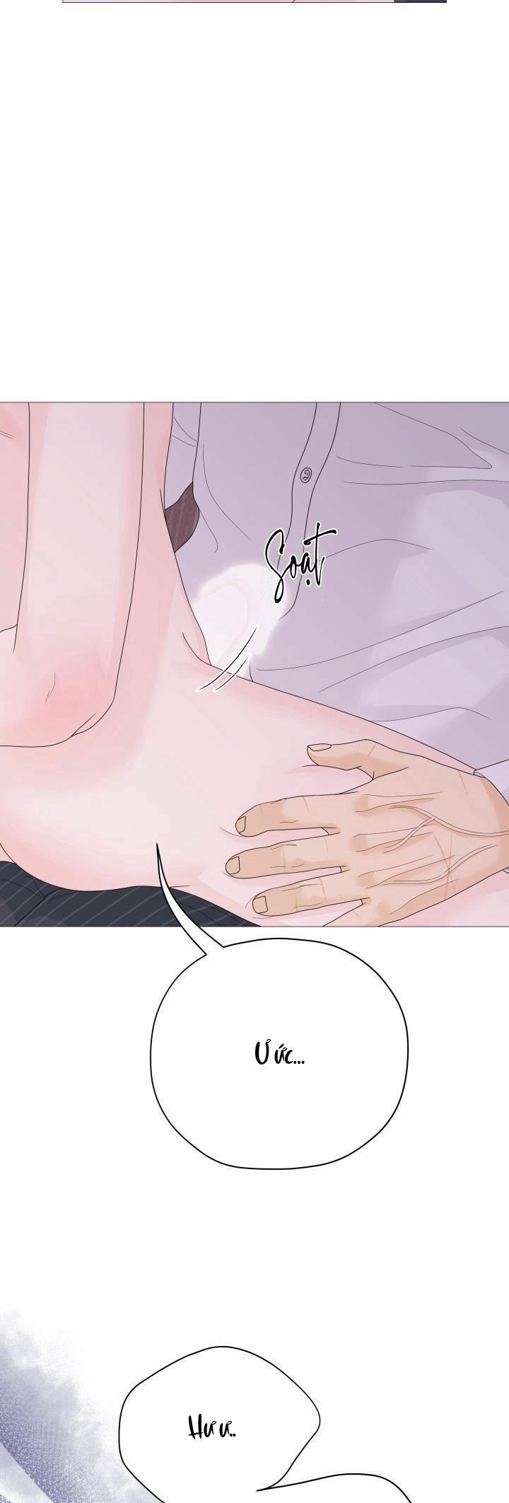 Honey Bear 36 trang 34