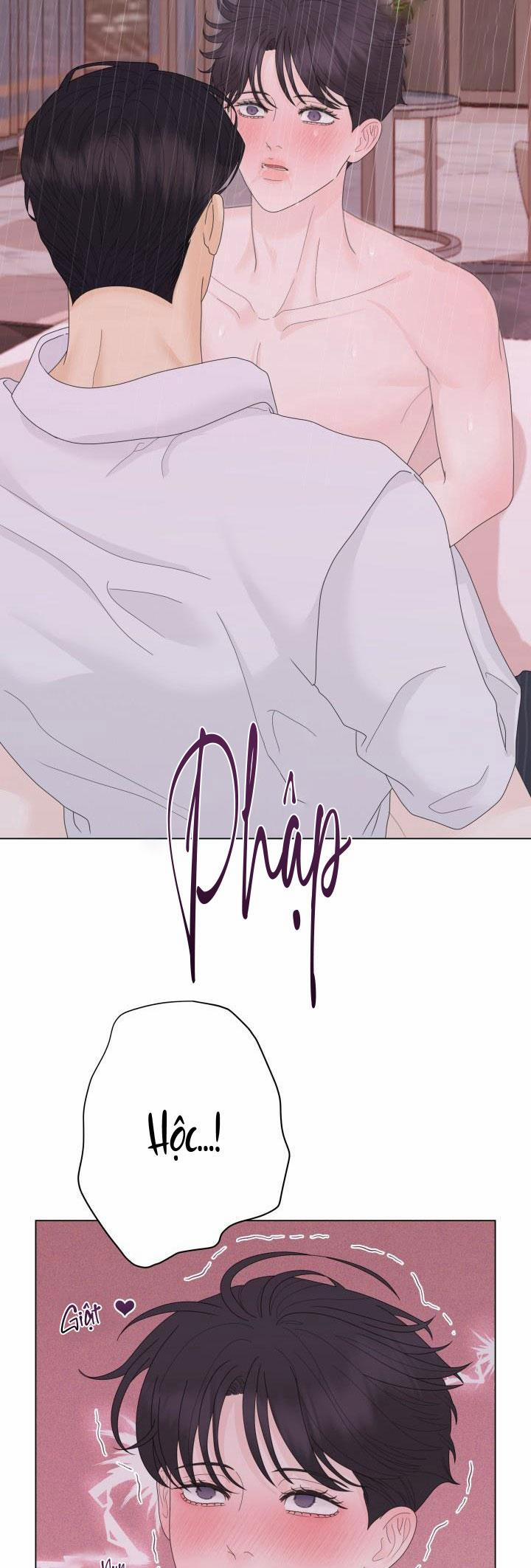 Honey Bear 36 trang 40