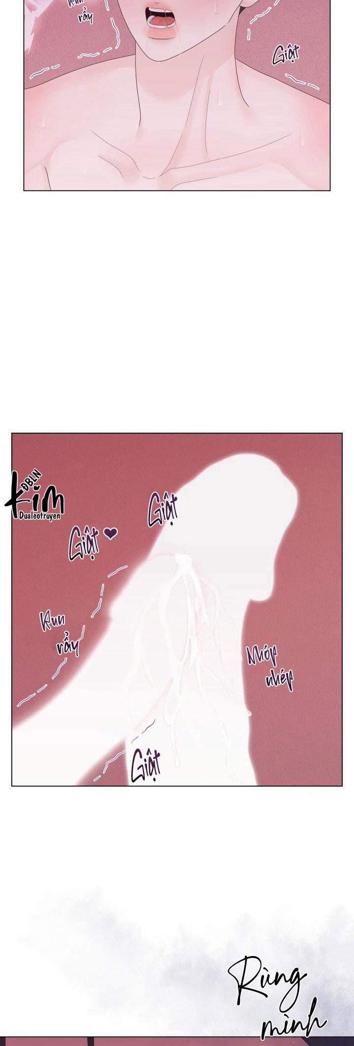 Honey Bear 36 trang 41