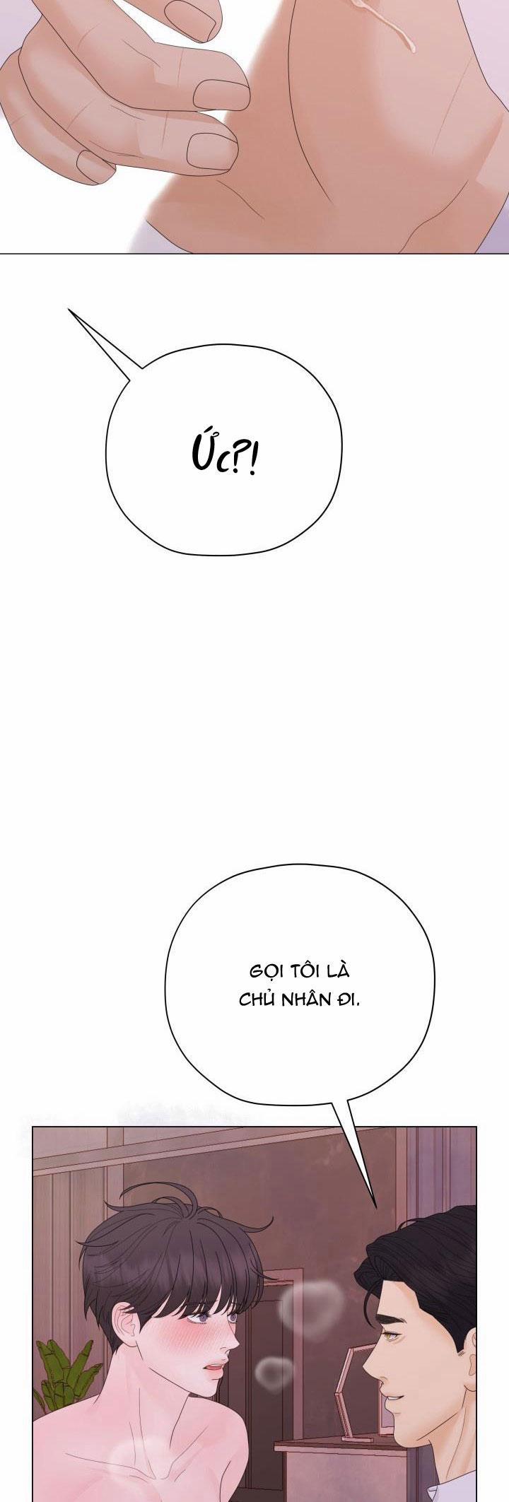 Honey Bear 36 trang 52