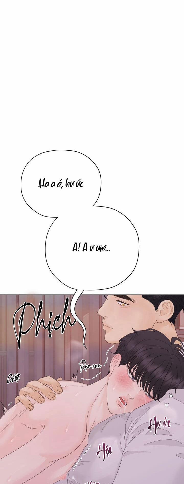 Honey Bear 36 trang 68