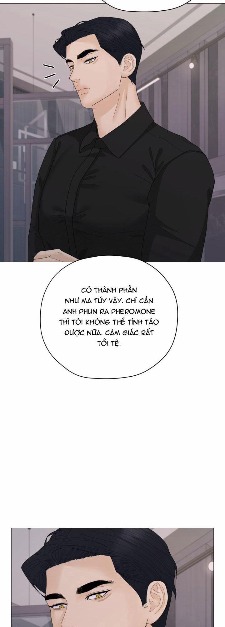 Honey Bear 36 trang 79