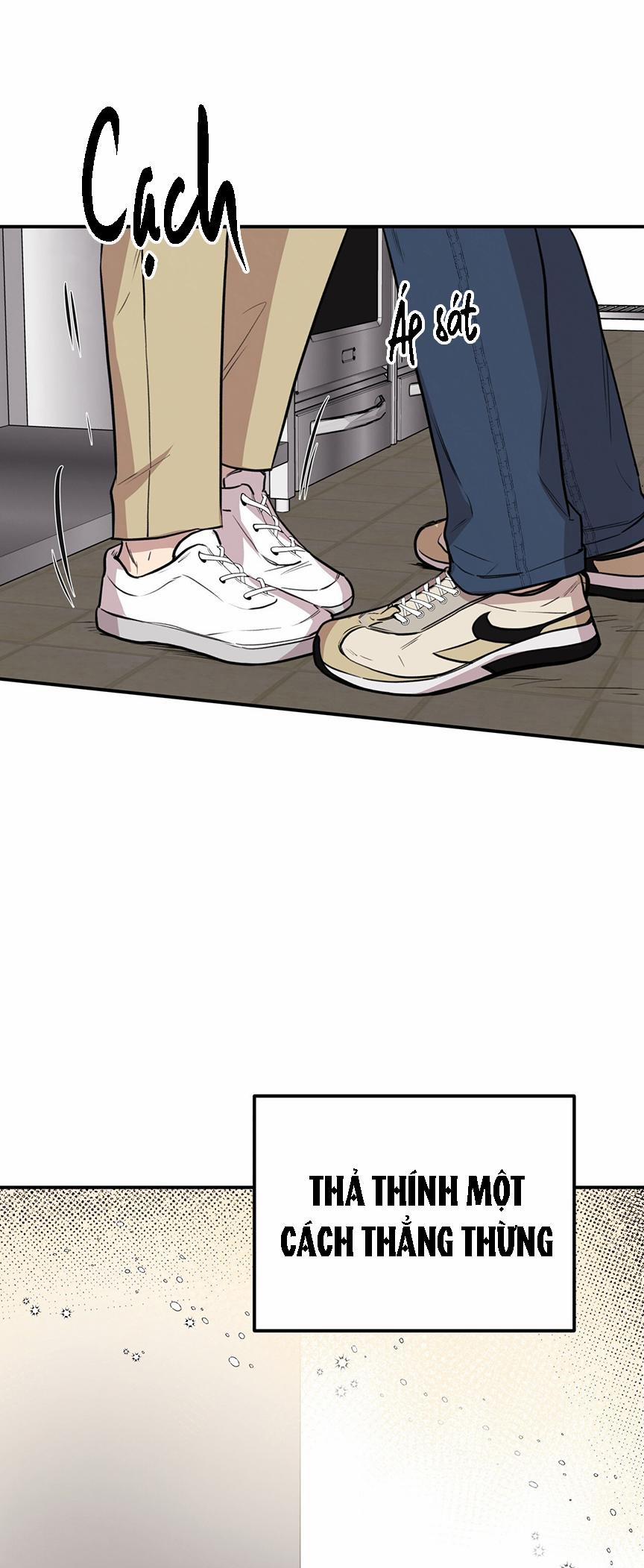 Honey Bear 8 trang 1