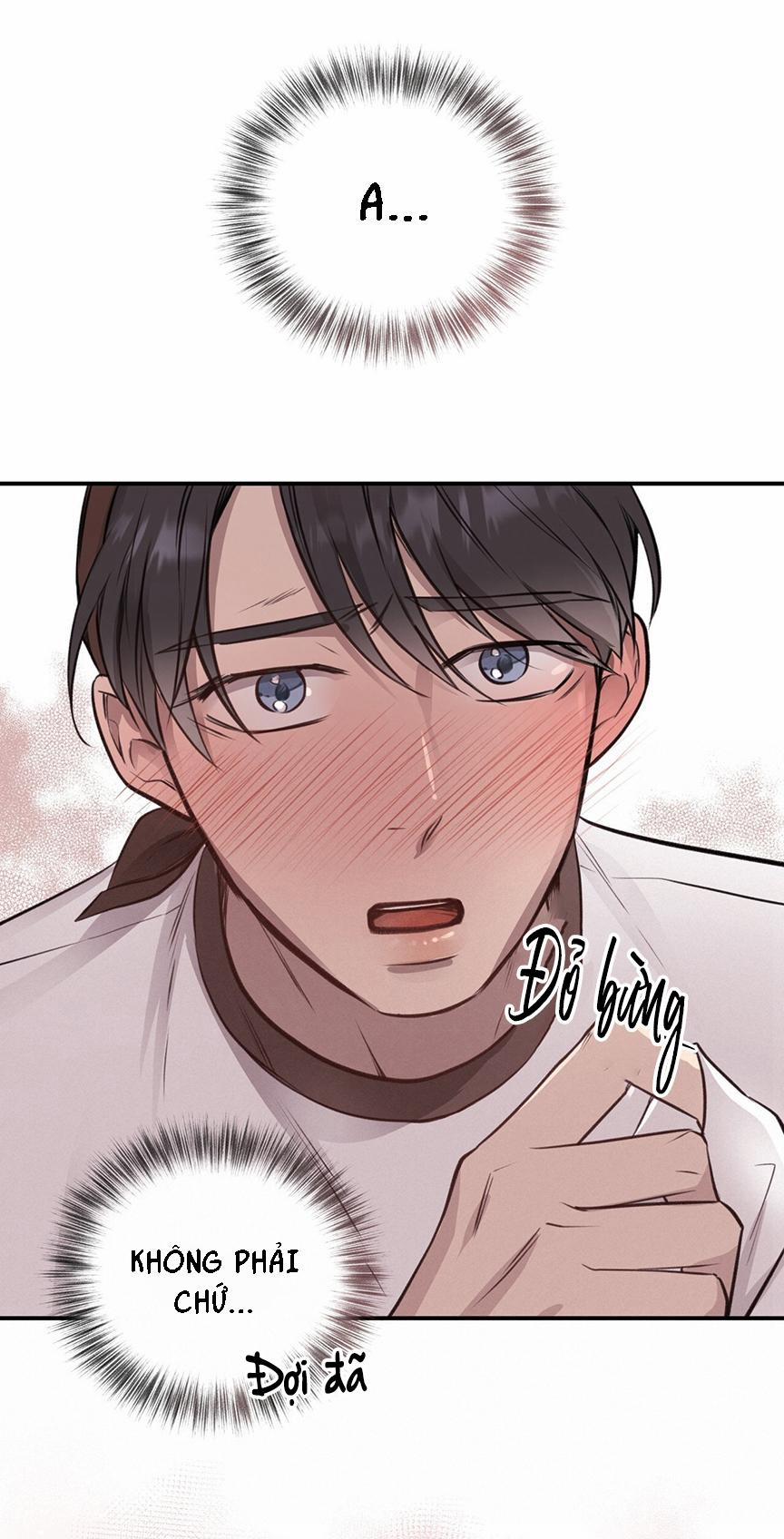 Honey Bear 8 trang 17