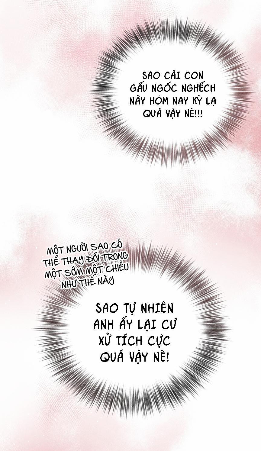 Honey Bear 8 trang 18