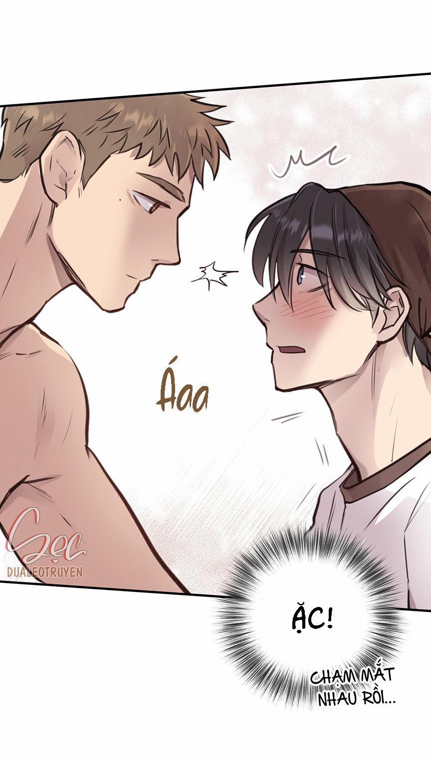 Honey Bear 8 trang 23