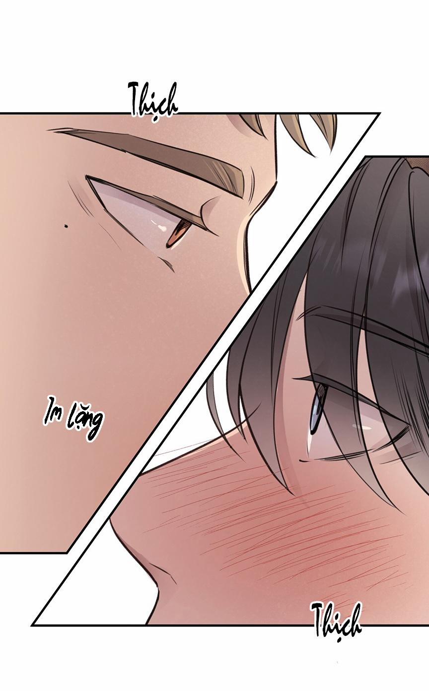 Honey Bear 8 trang 24