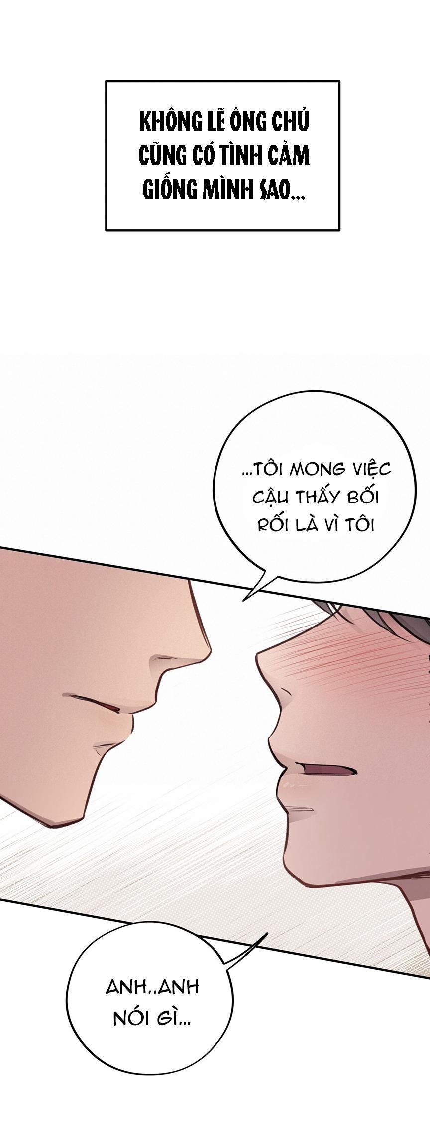 Honey Bear 8 trang 27