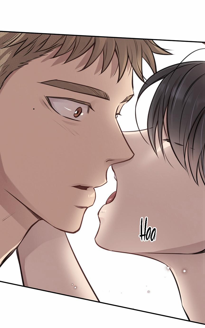 Honey Bear 8 trang 32