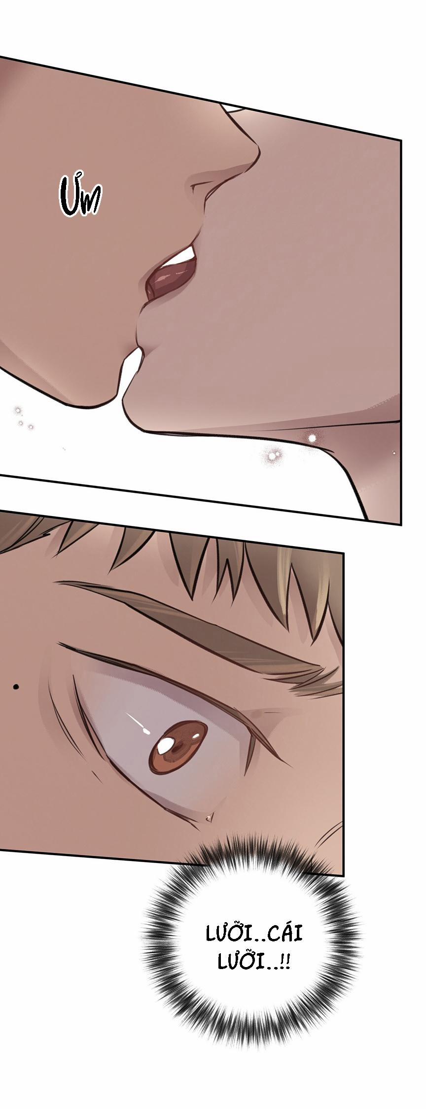 Honey Bear 8 trang 33