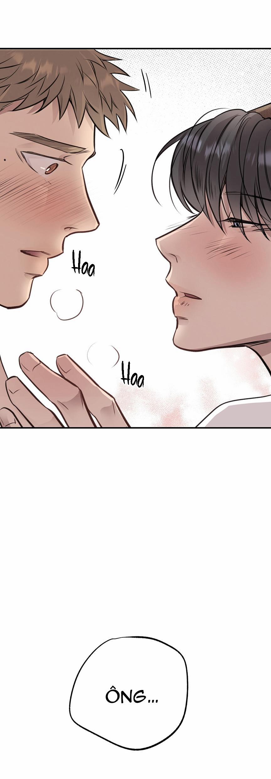 Honey Bear 8 trang 38