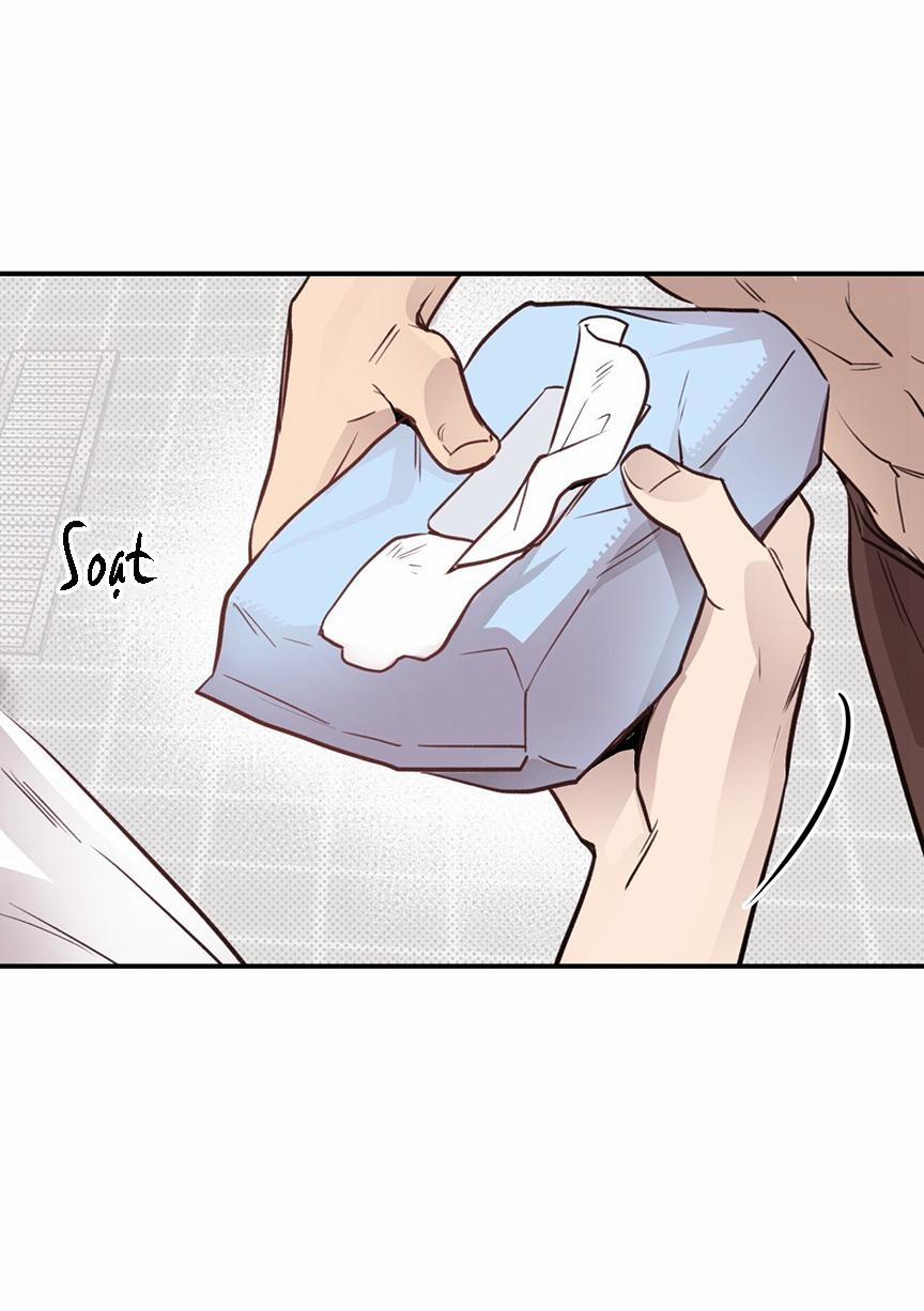 Honey Bear 8 trang 4