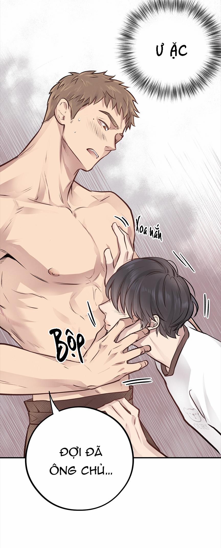 Honey Bear 8 trang 49