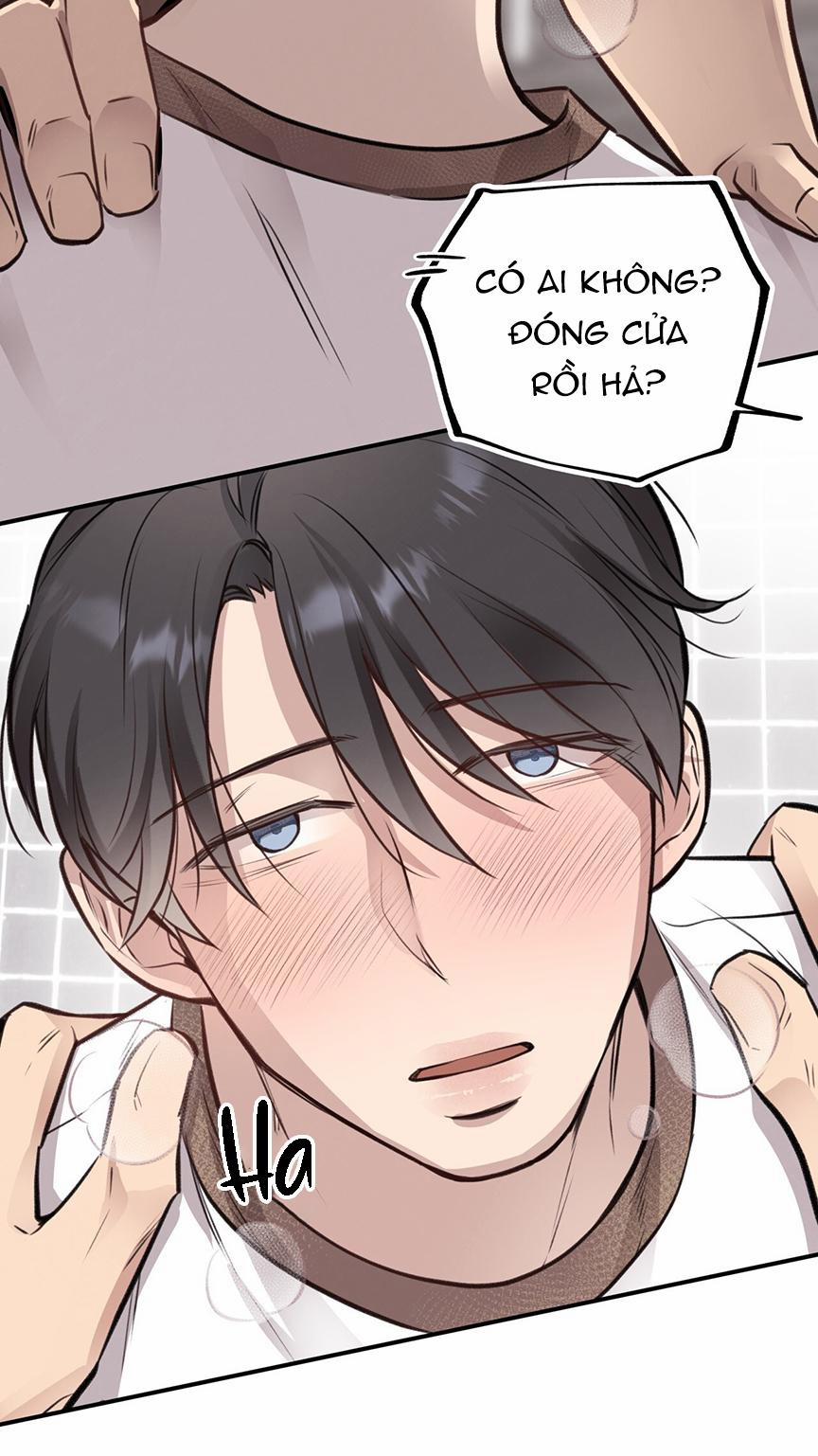 Honey Bear 8 trang 55