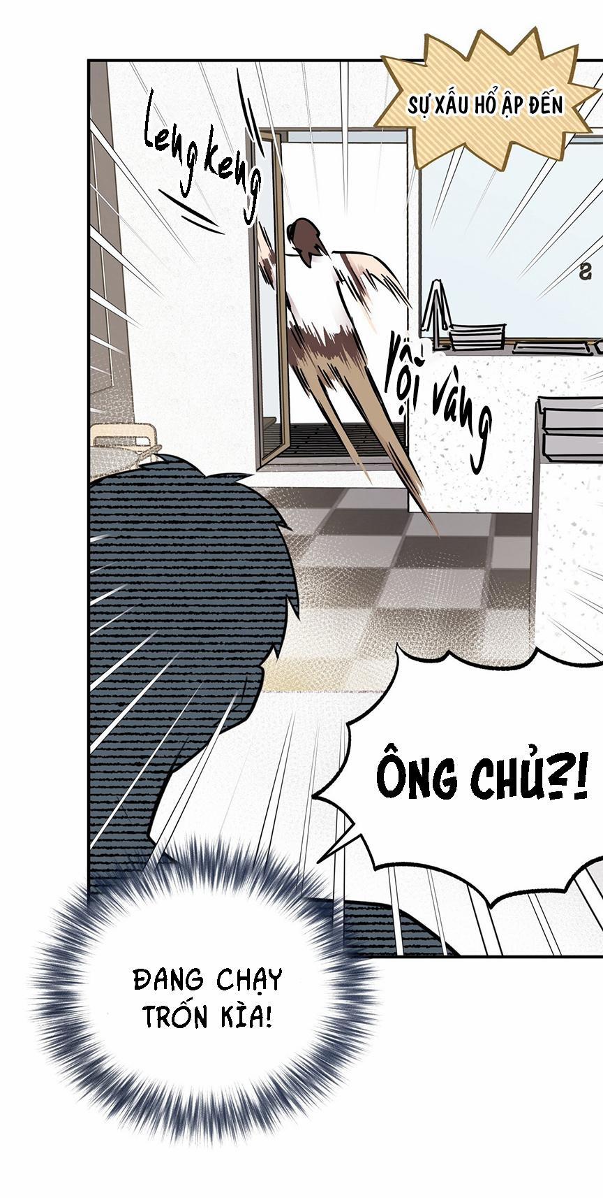 Honey Bear 8 trang 64