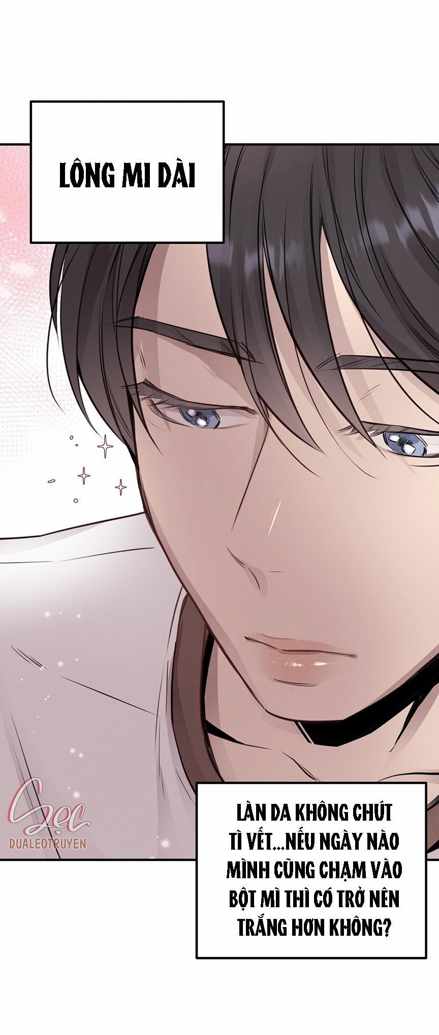 Honey Bear 8 trang 7