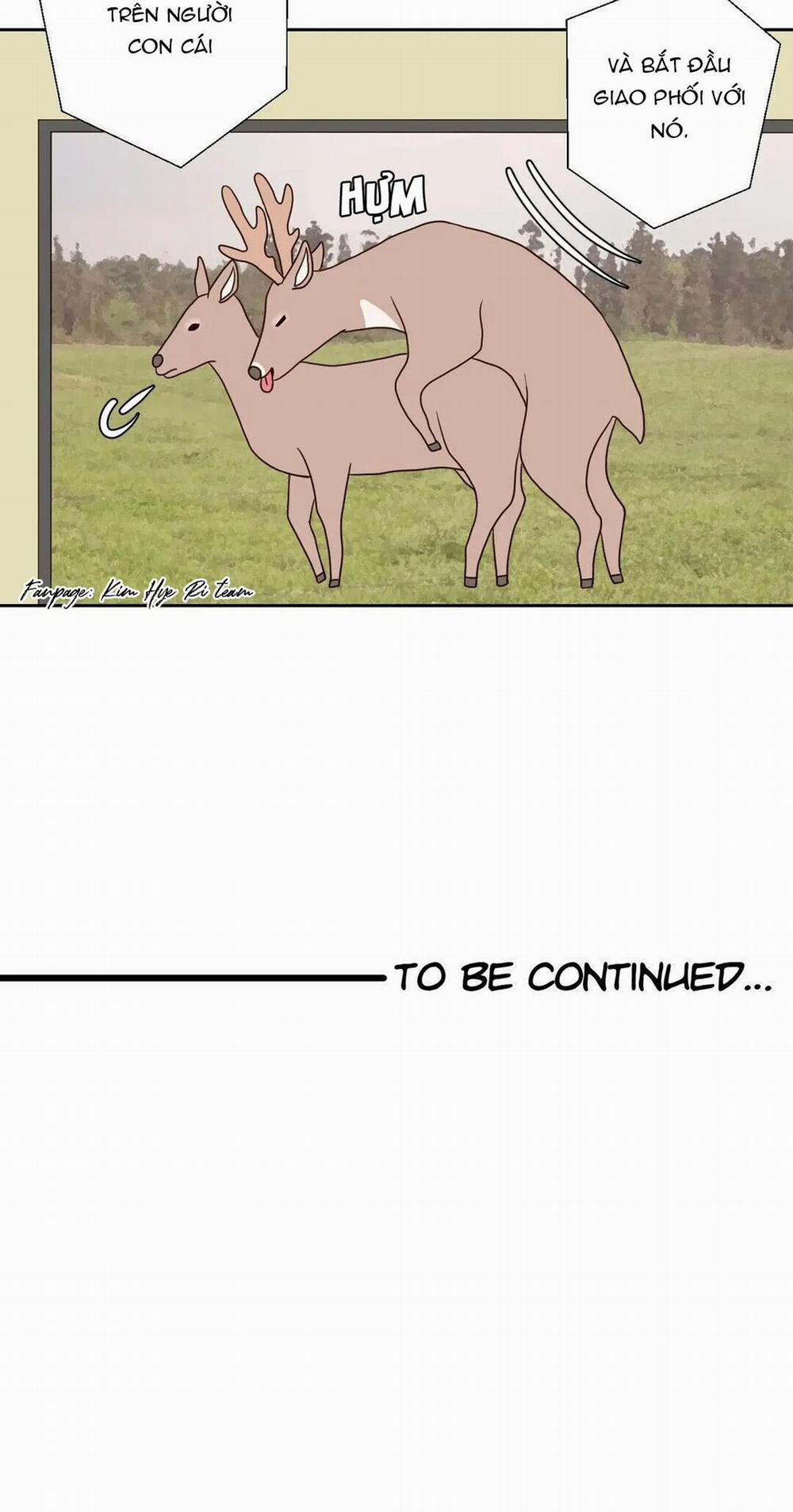 Honey Bed Talk 14 trang 31