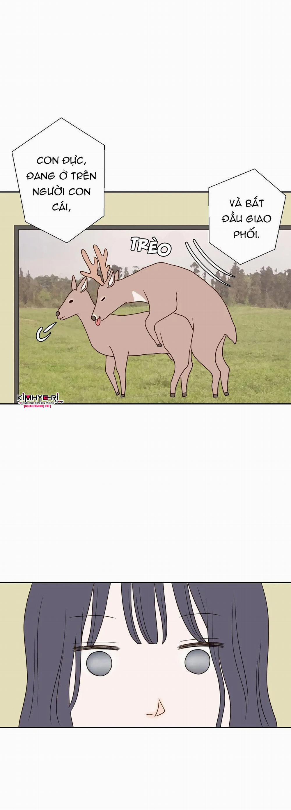 Honey Bed Talk 15 trang 0