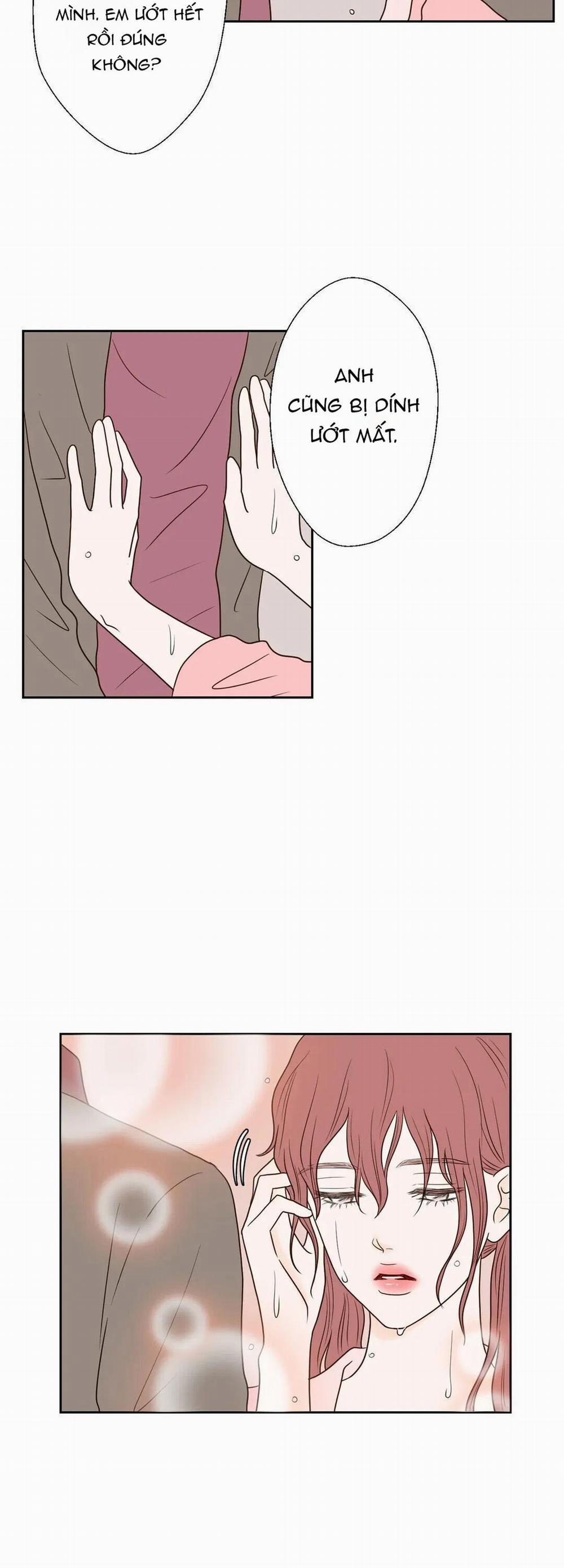 Honey Bed Talk 20 trang 26