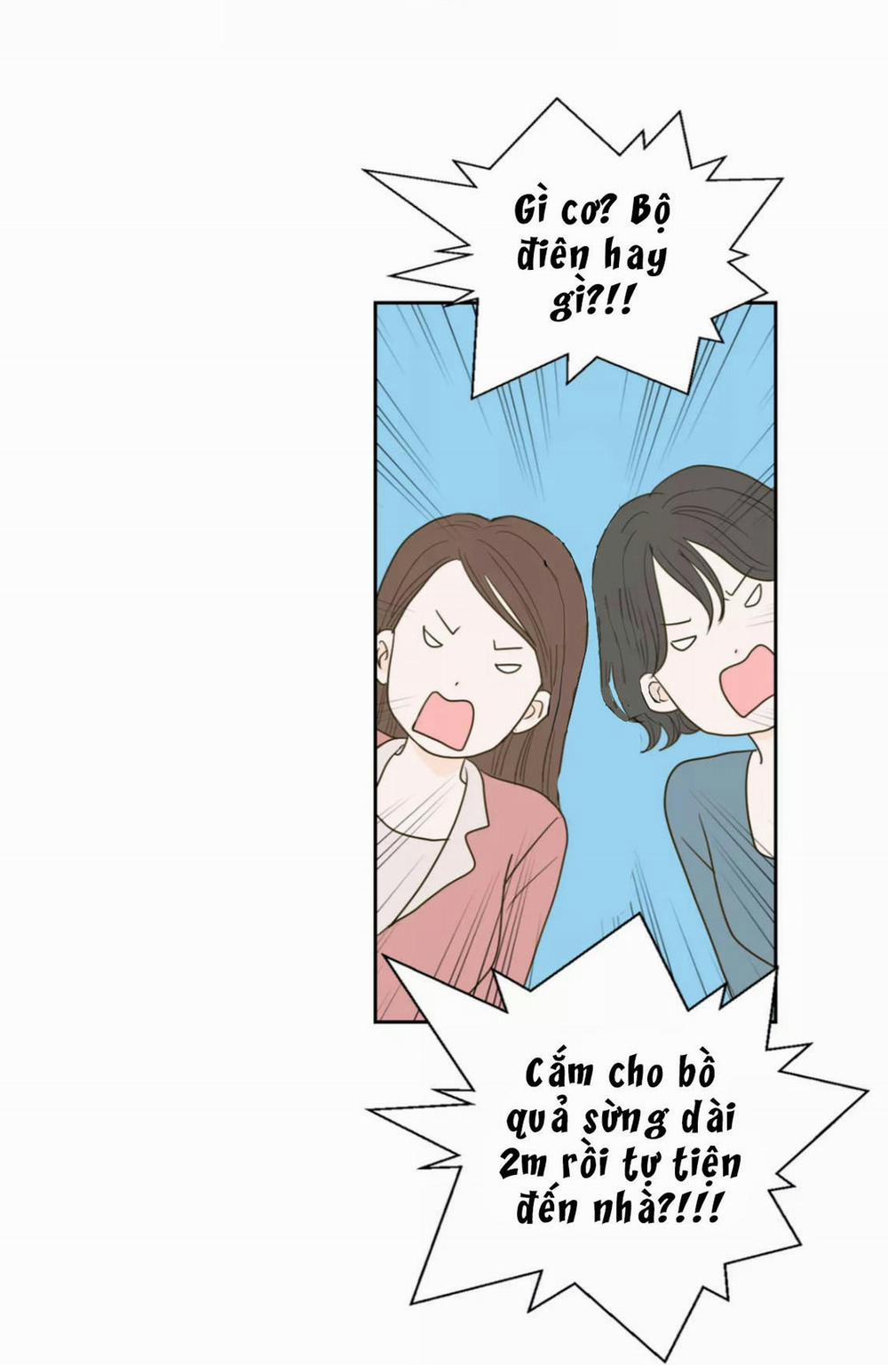 Honey Bed Talk 32 trang 28