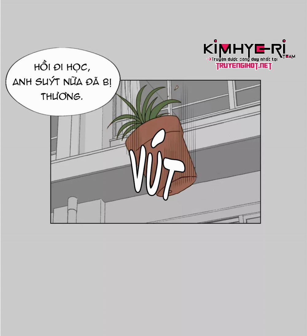 Honey Bed Talk 38 trang 31