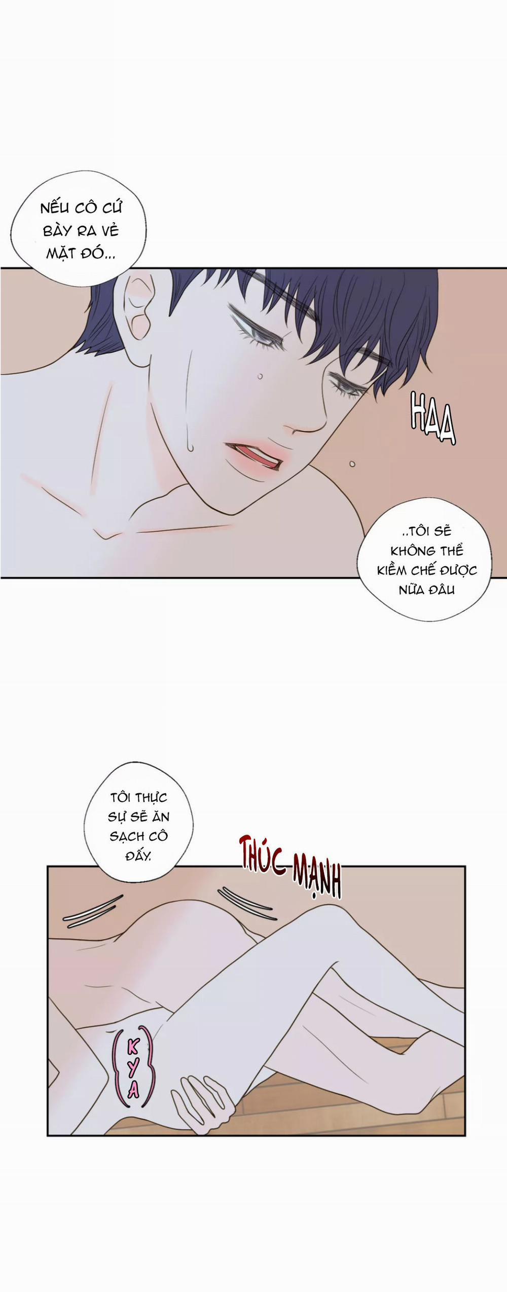 Honey Bed Talk 41 trang 12