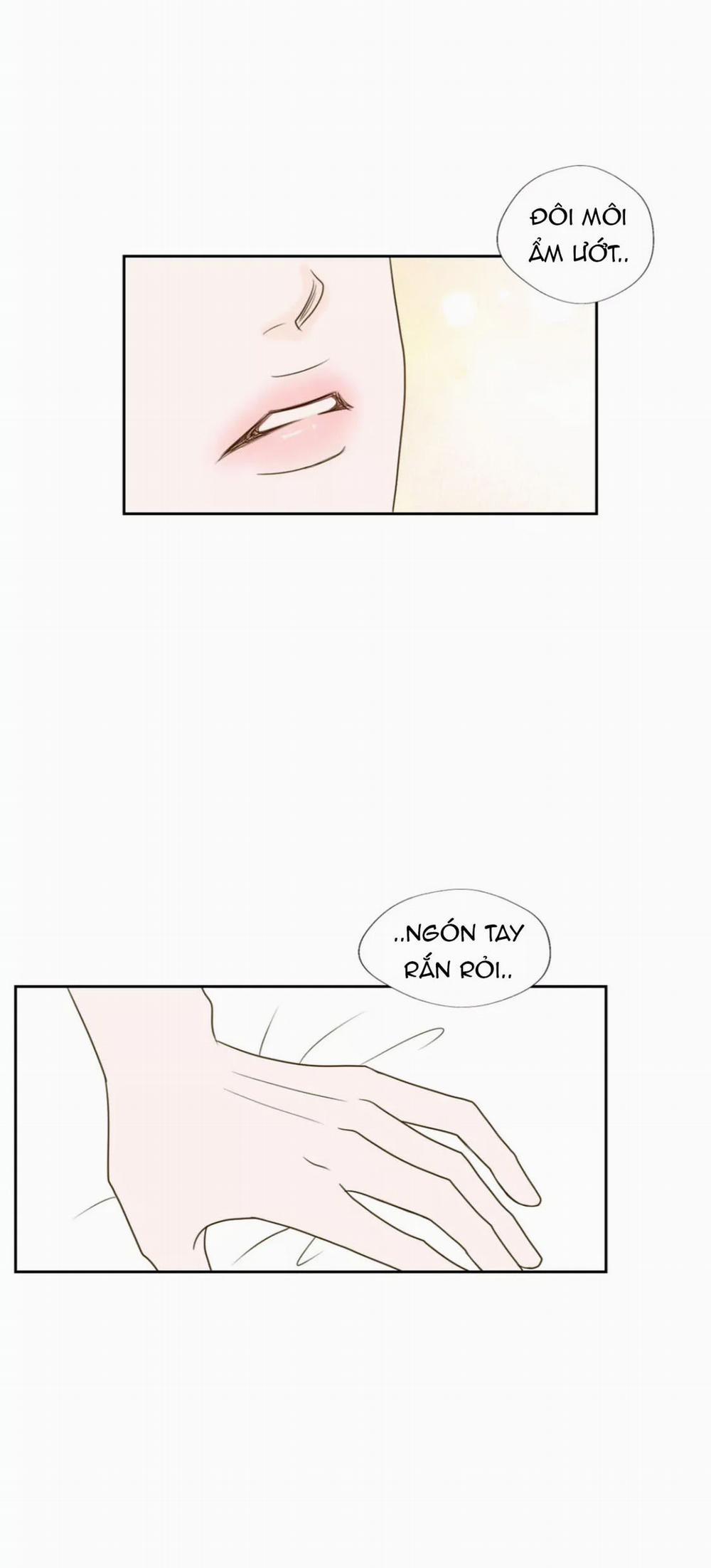 Honey Bed Talk 45 trang 2