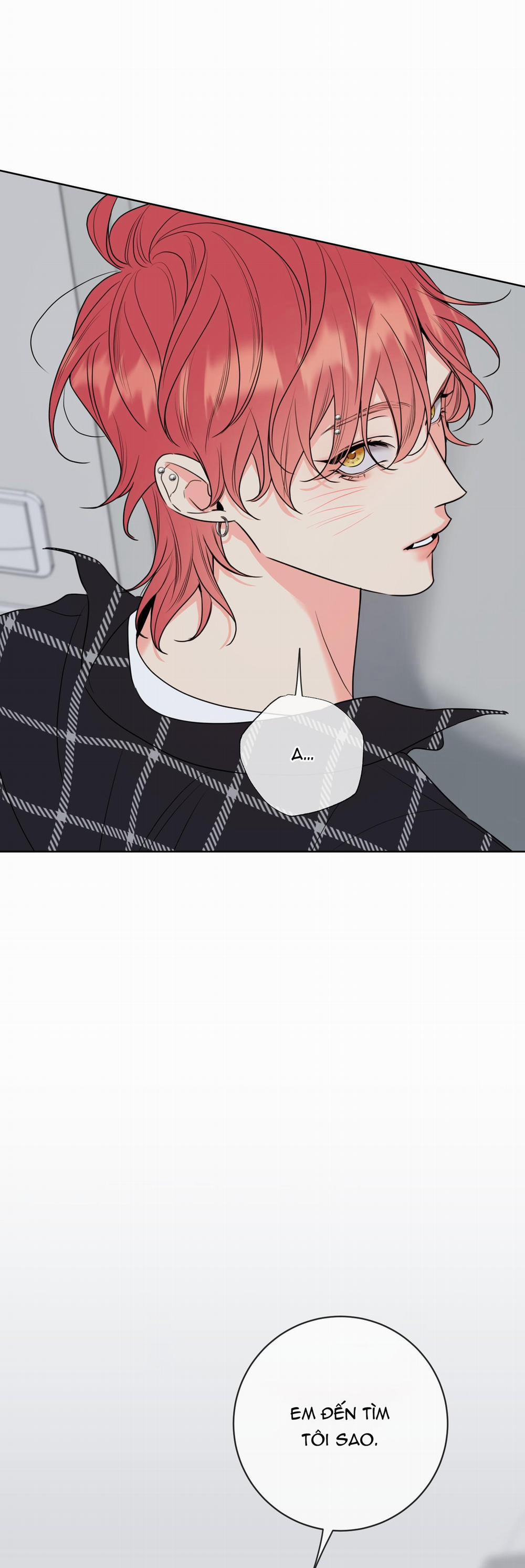 Honey Trouble 14 phamthu09111 trang 67