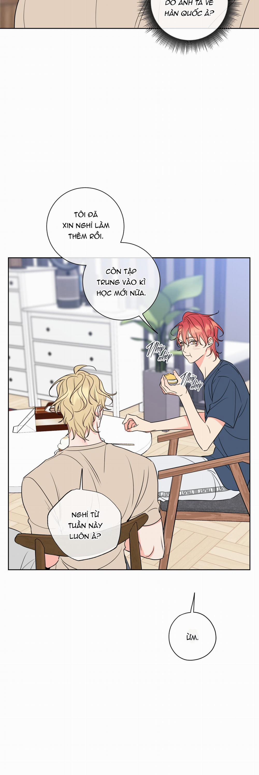 Honey Trouble 14 trang 6