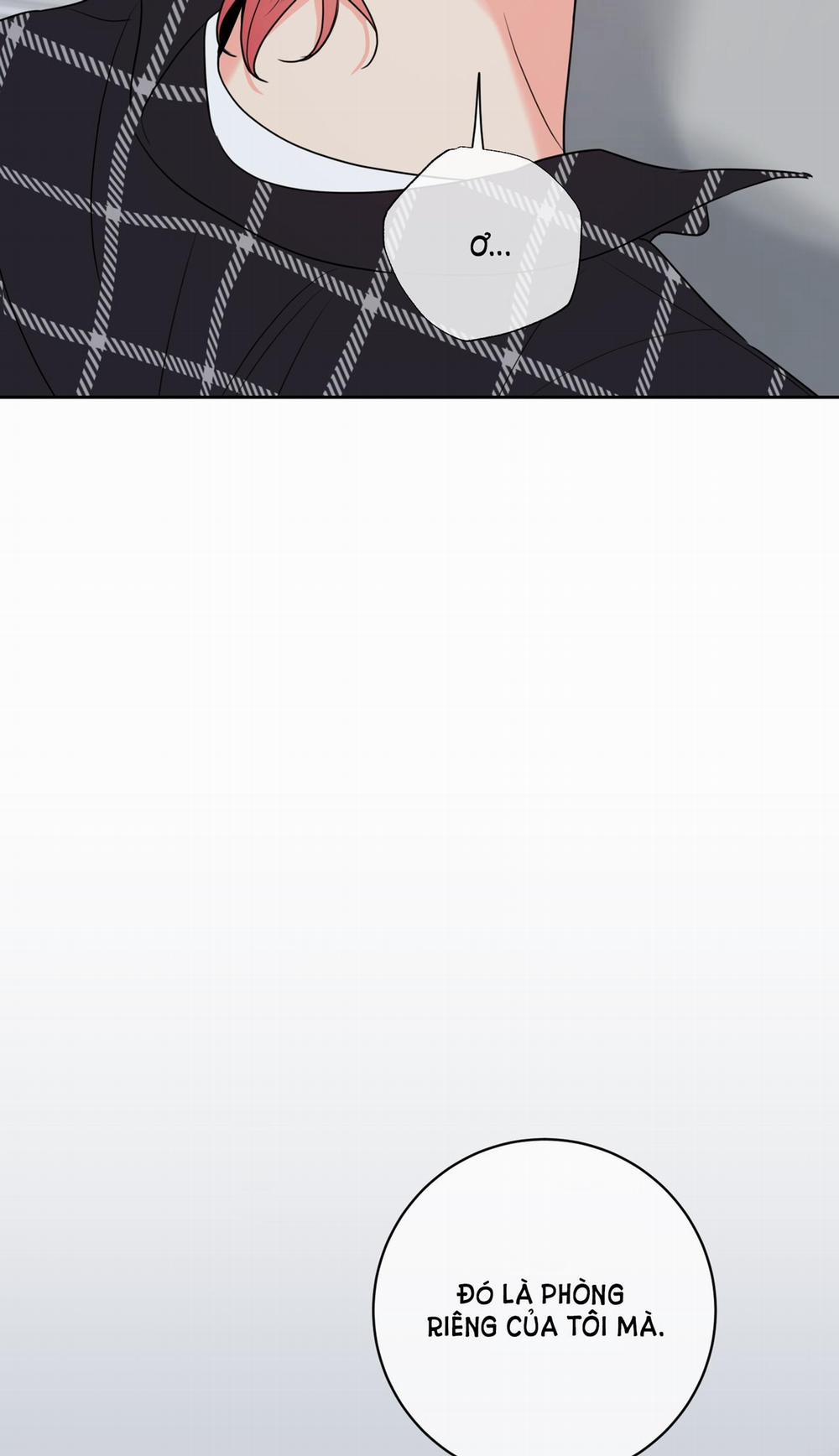 Honey Trouble 15.1 trang 1