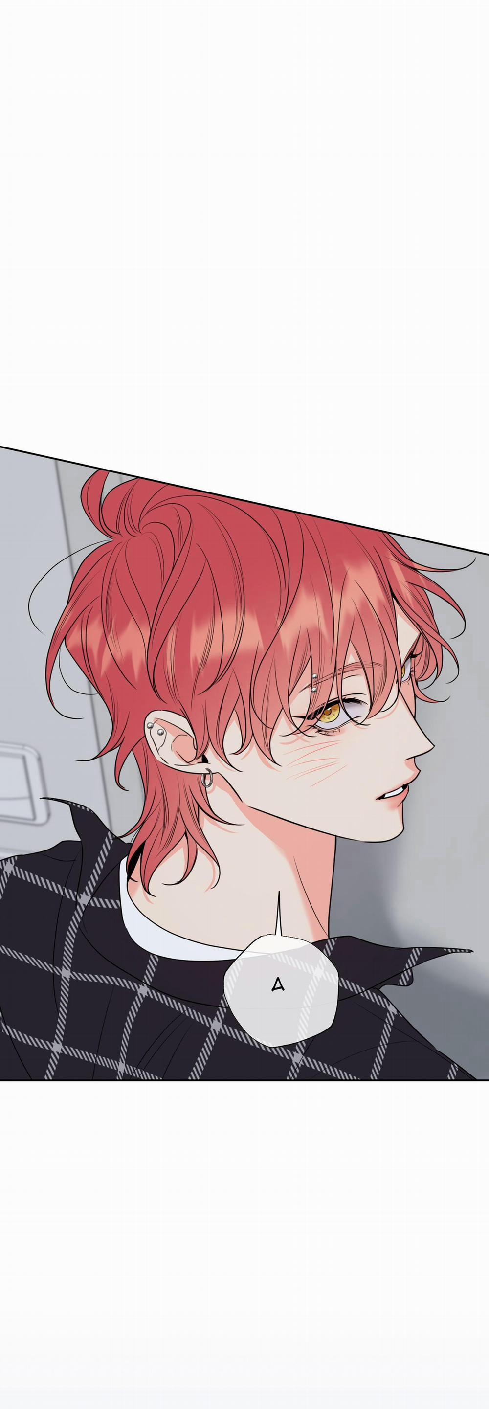 Honey Trouble 15 trang 1