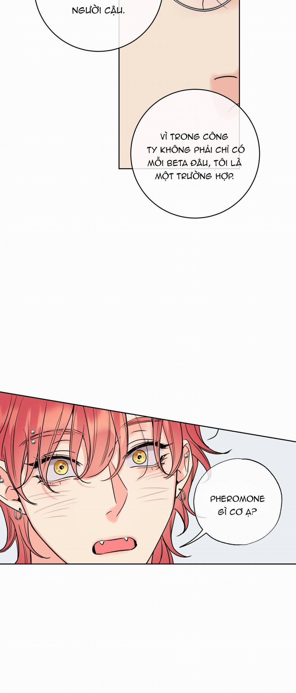 Honey Trouble 17 trang 37