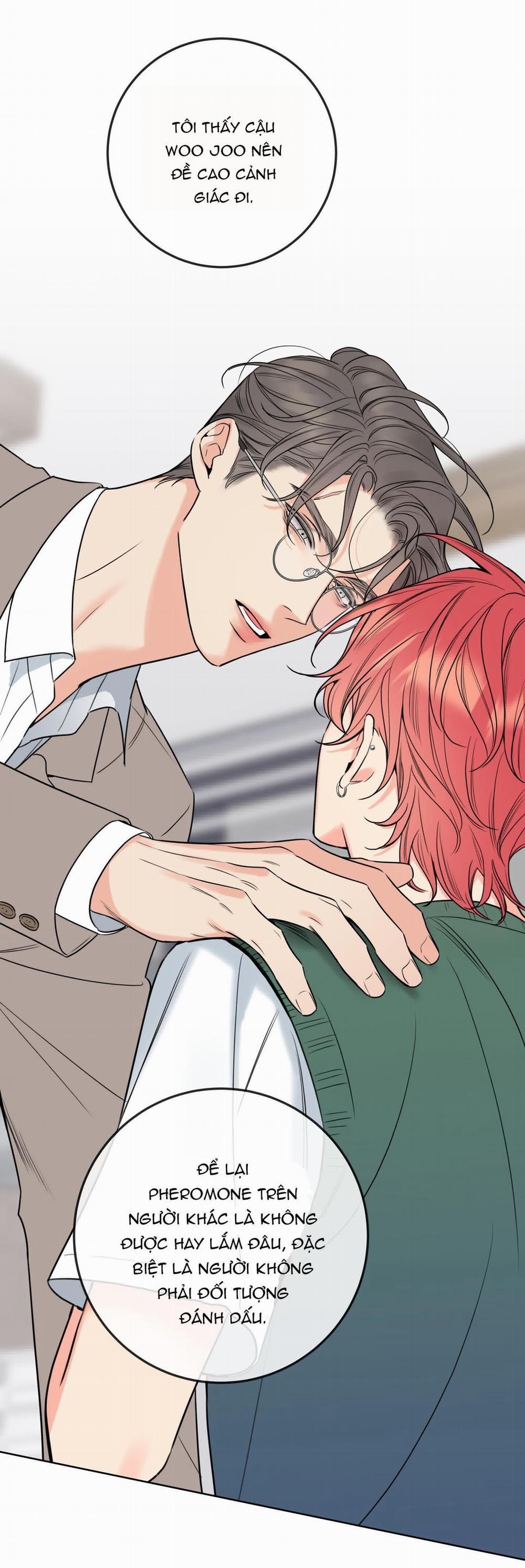 Honey Trouble 17 trang 40