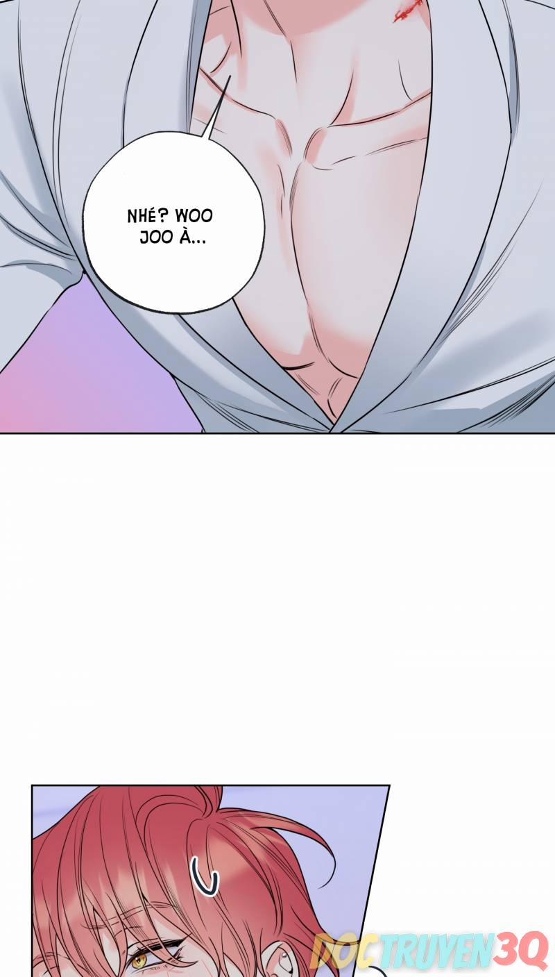 Honey Trouble 18.2 trang 4