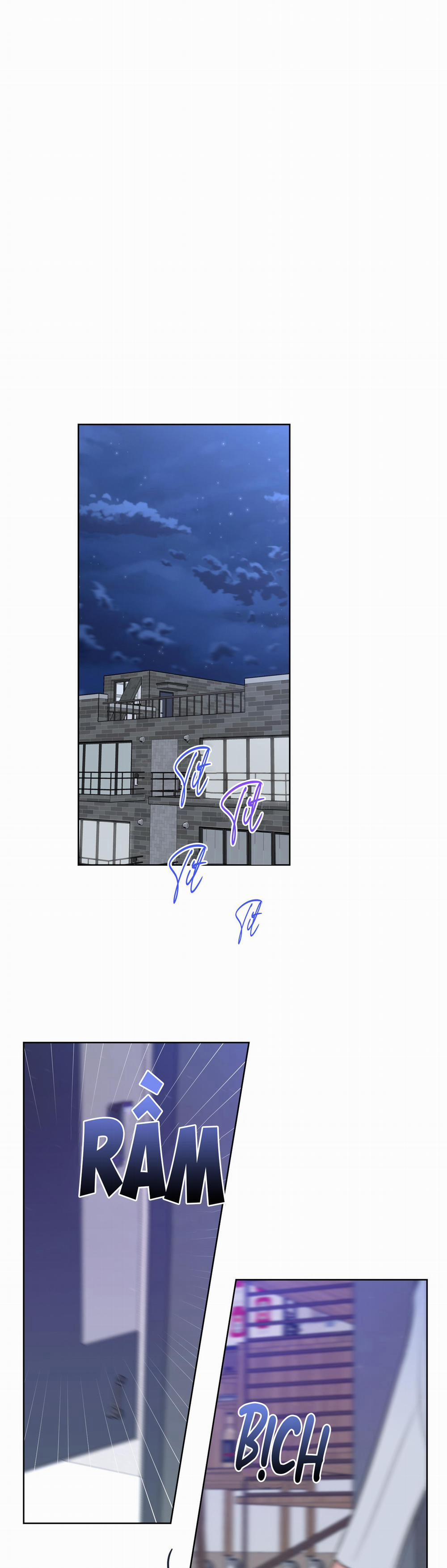 Honey Trouble 18 trang 0