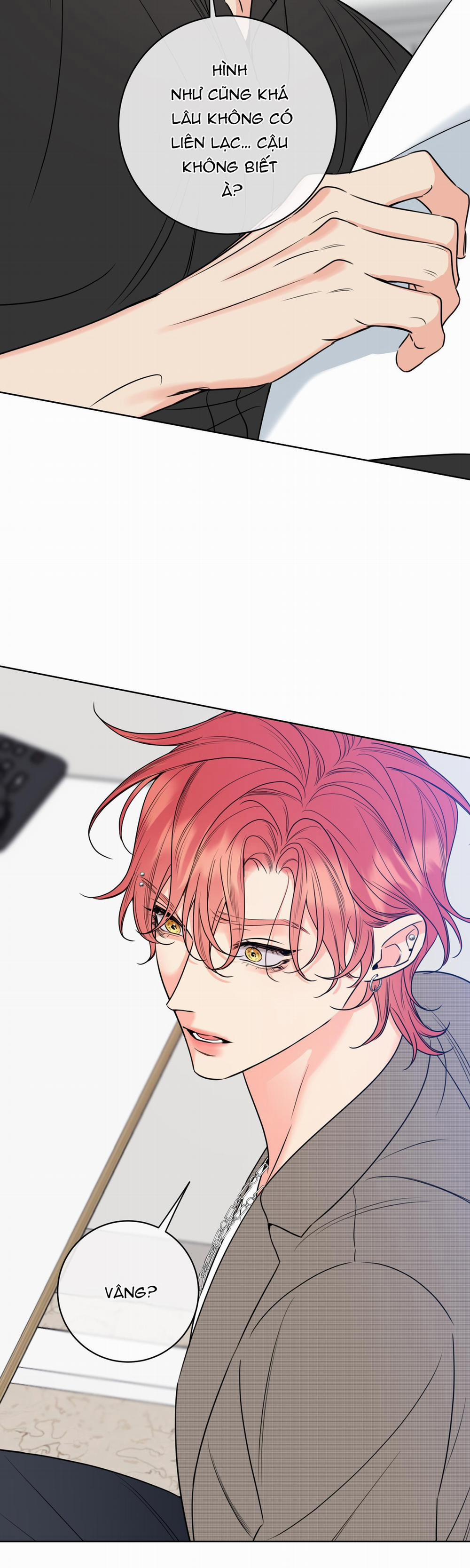 Honey Trouble 19 trang 1