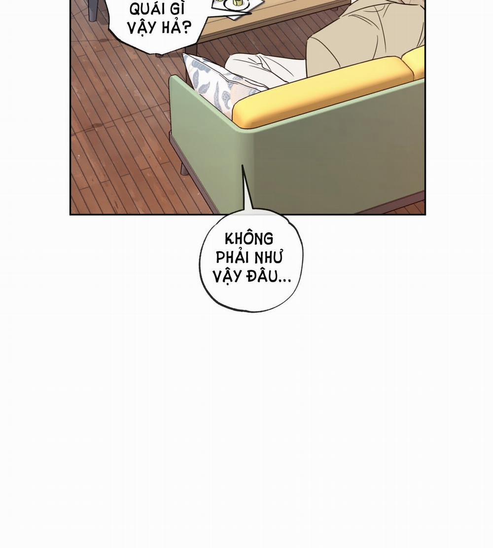 Honey Trouble 20.2 trang 28