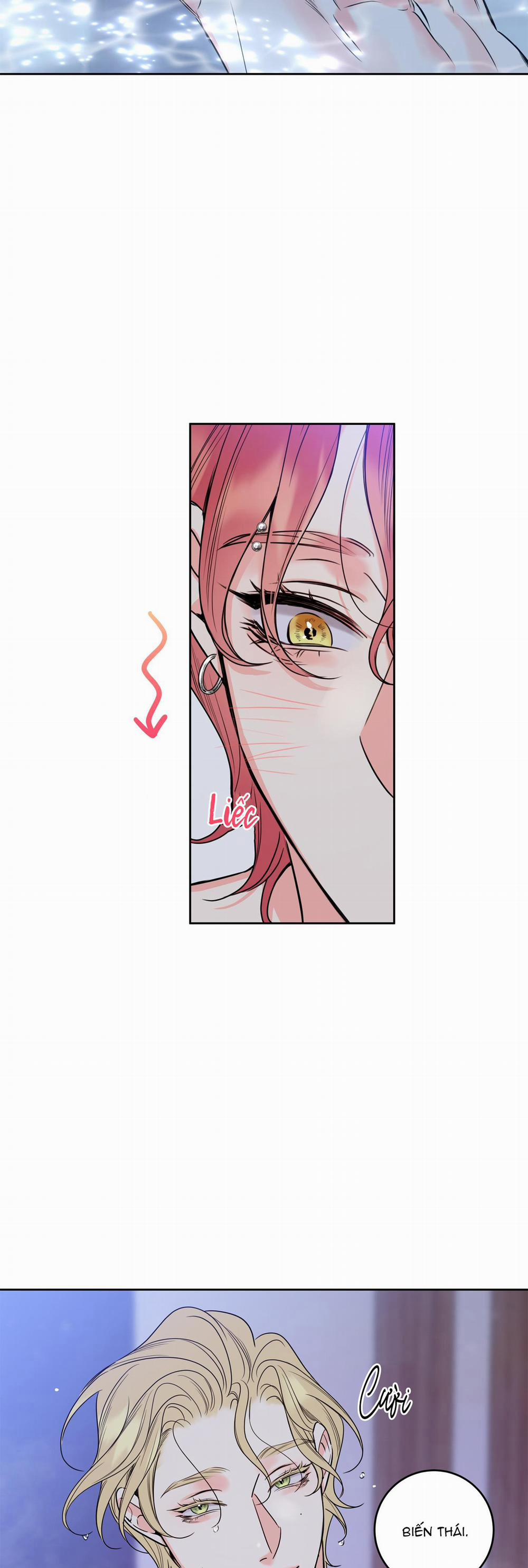 Honey Trouble 21 trang 8