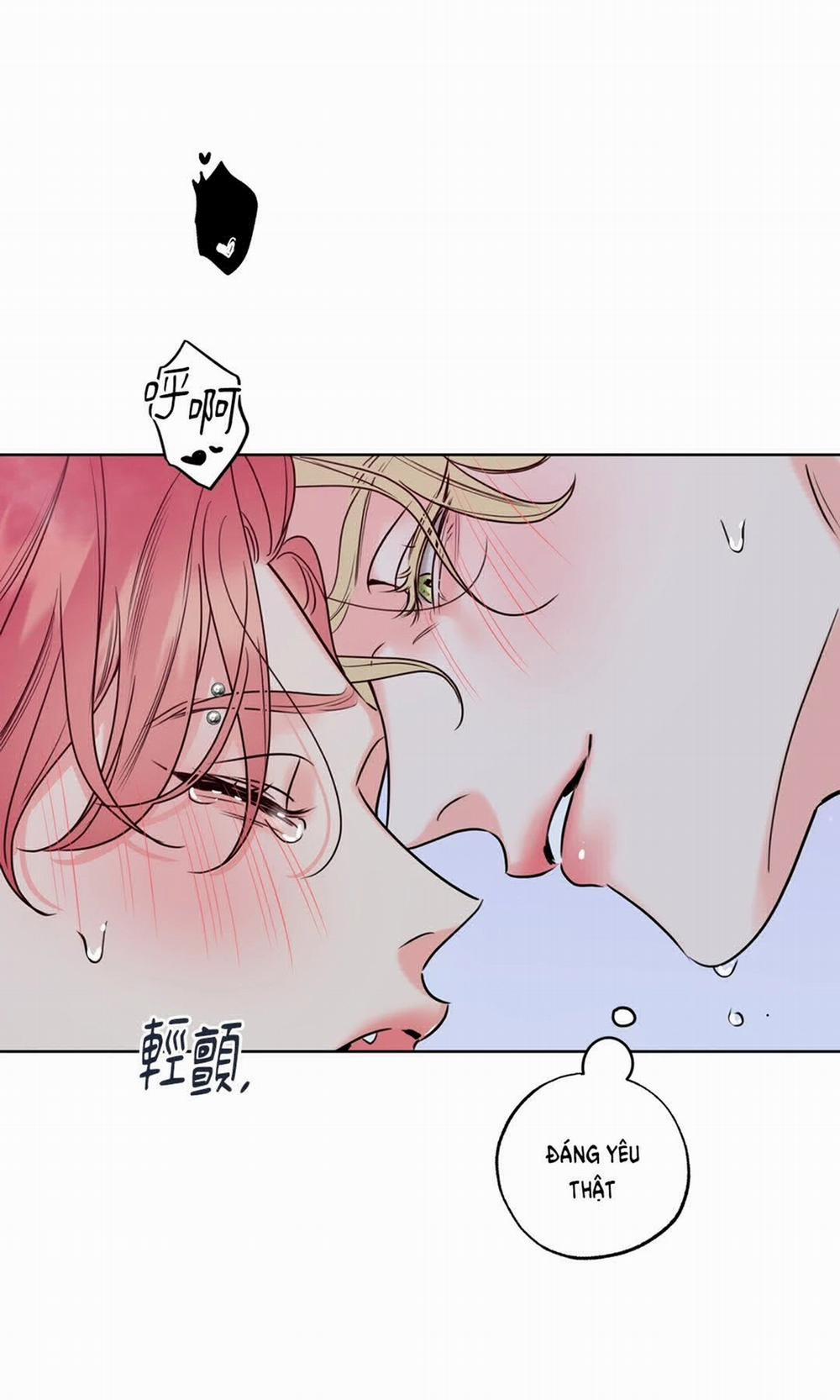 Honey Trouble 22.2 trang 15