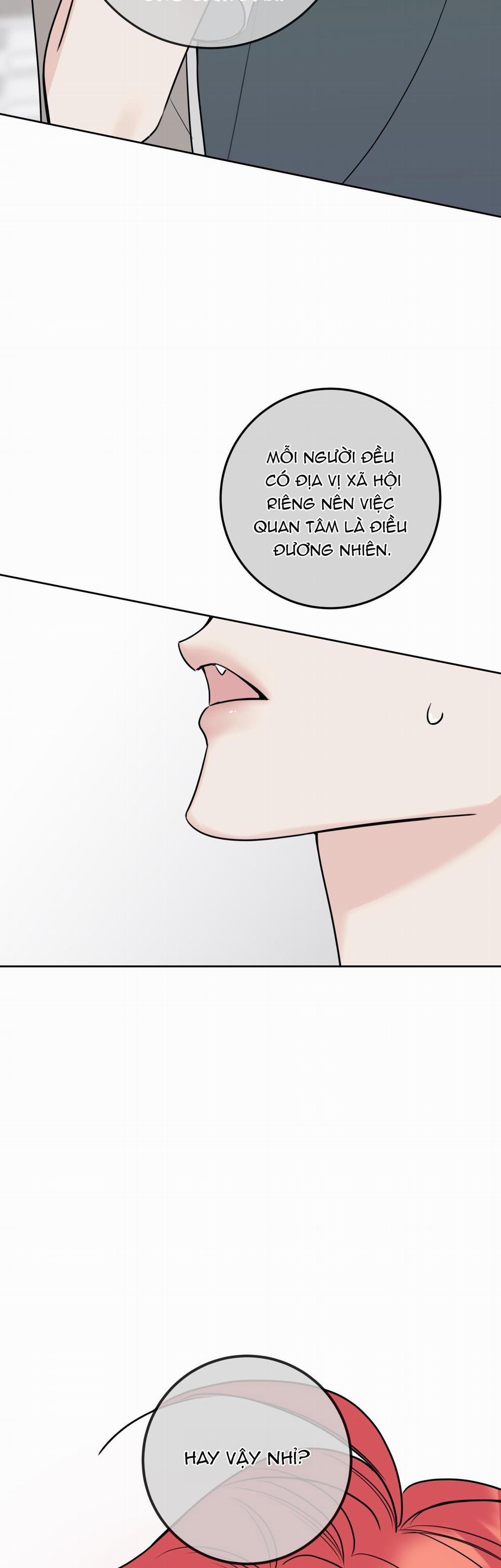 Honey Trouble 23 trang 22