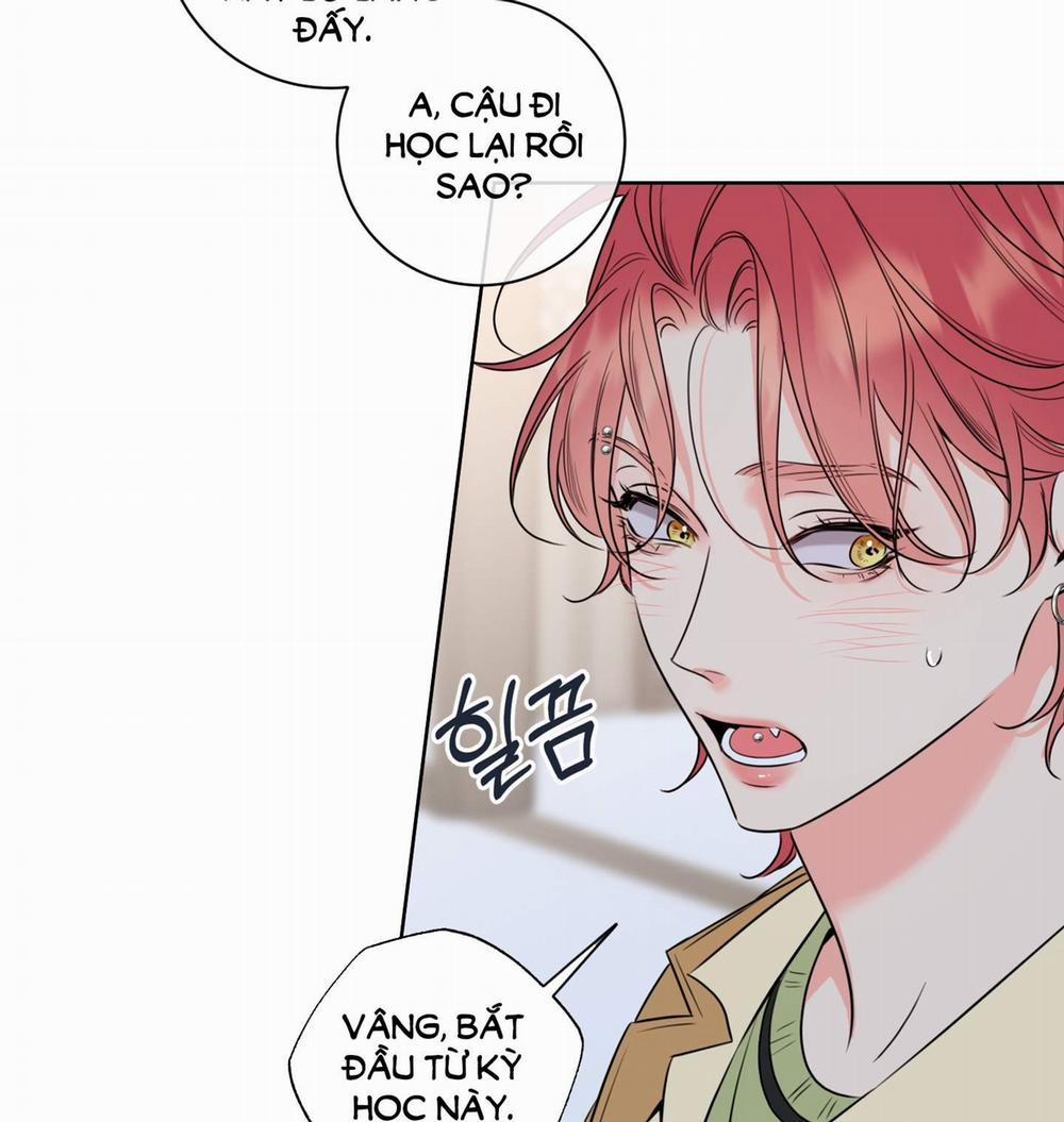 Honey Trouble 27.1 trang 17