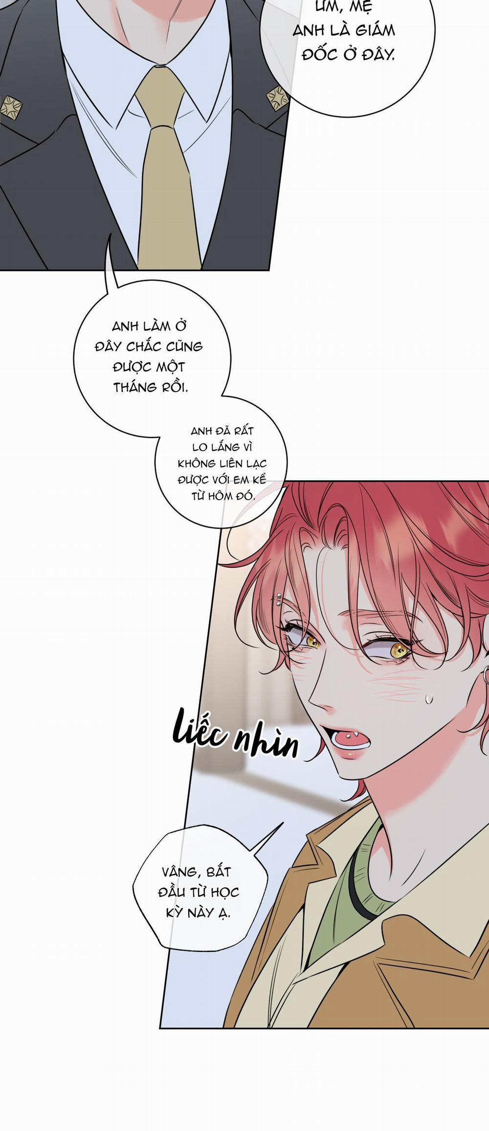 Honey Trouble 27 trang 5