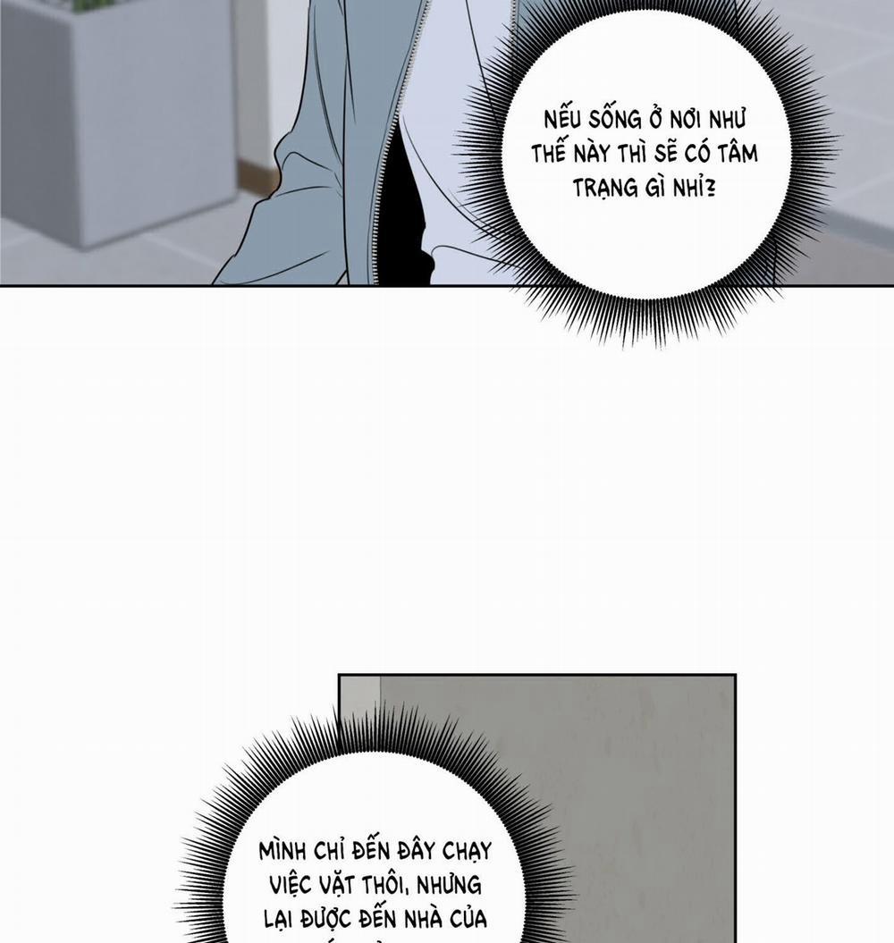 Honey Trouble 28.2 trang 24