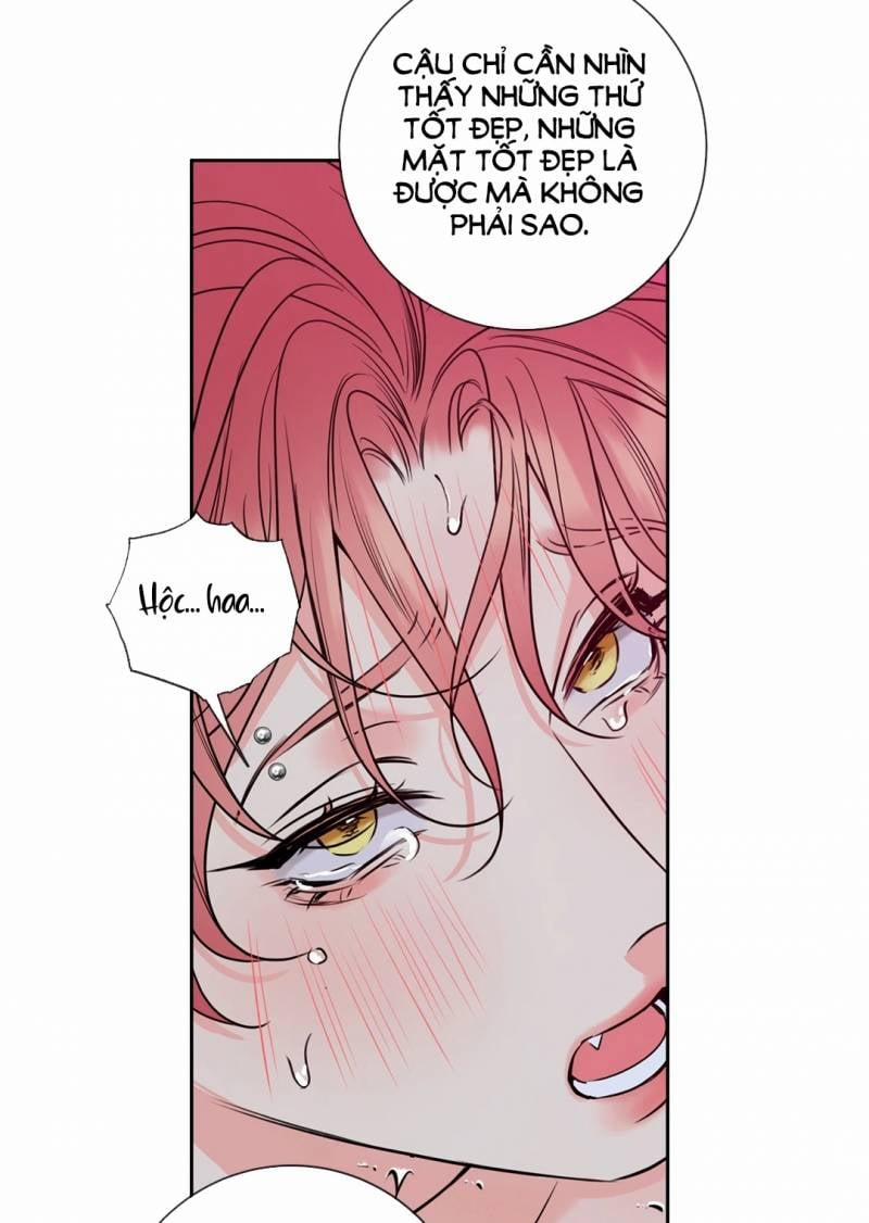 Honey Trouble 30.5 trang 29