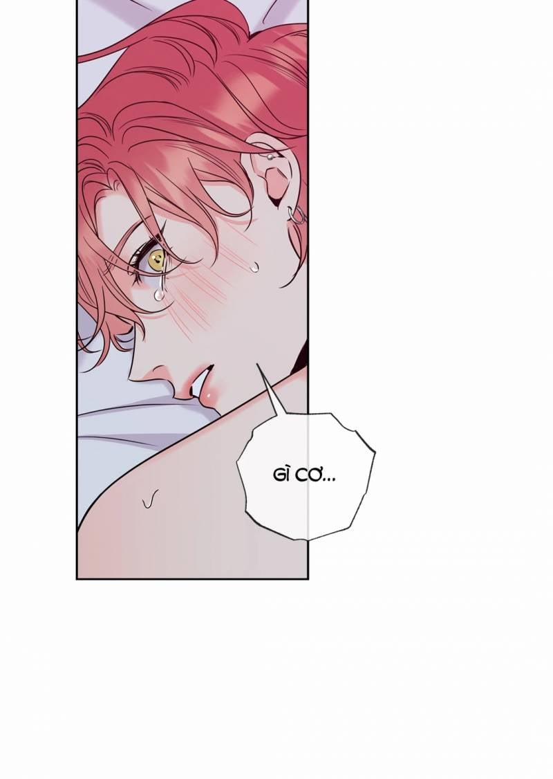 Honey Trouble 30.5 trang 34