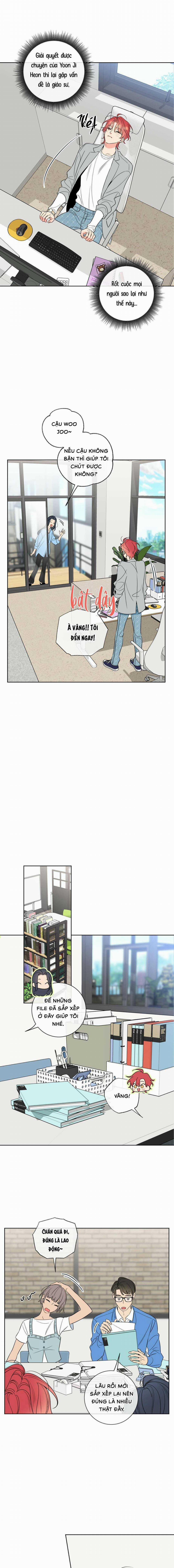 Honey Trouble 33 trang 1