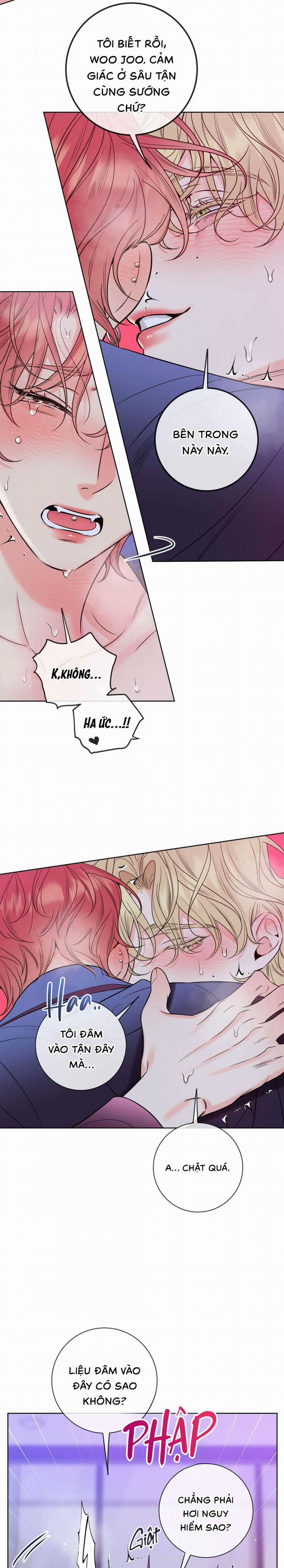 Honey Trouble 35 trang 17