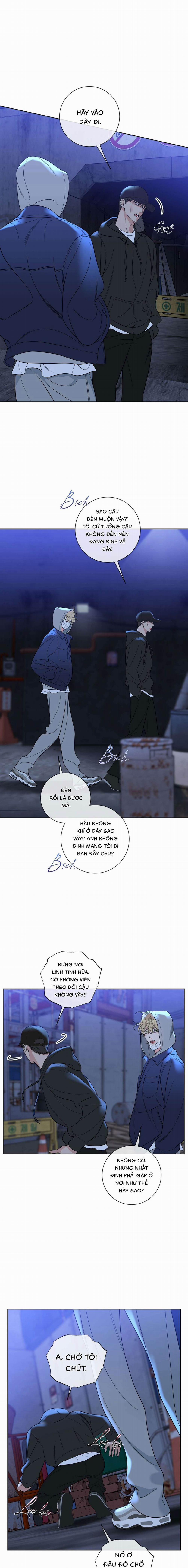 Honey Trouble 37 trang 0