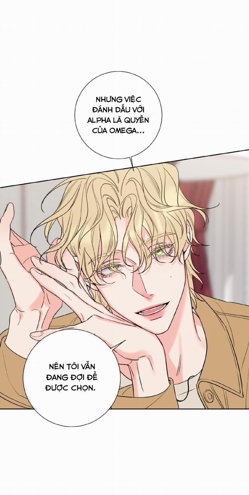 Honey Trouble 4 trang 13